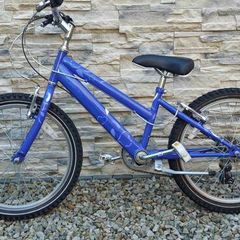 Raleigh purple bicycle on 20 inch wheels.