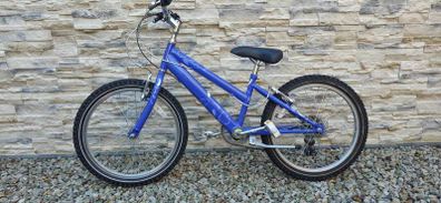 Raleigh purple bicycle on 20 inch wheels.