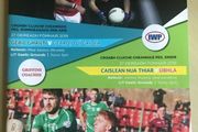 2019 Newcastle West v Oola - GAA Limerick Senior Football Club Final