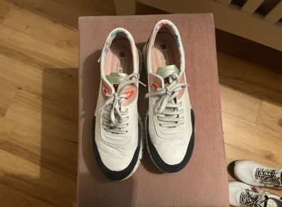 Jose Seanz Trainers