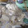 plant, Luneria honesty seeds Image 4