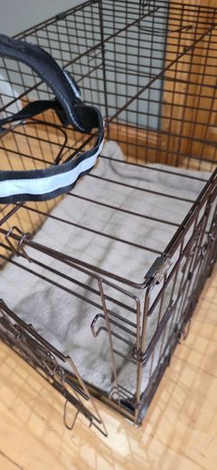 Dog Crate