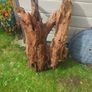 Fish Tank Drift Wood Image 5