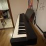 Yamaha P-225B 2025 Model Image 2