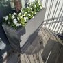 planter Image 4