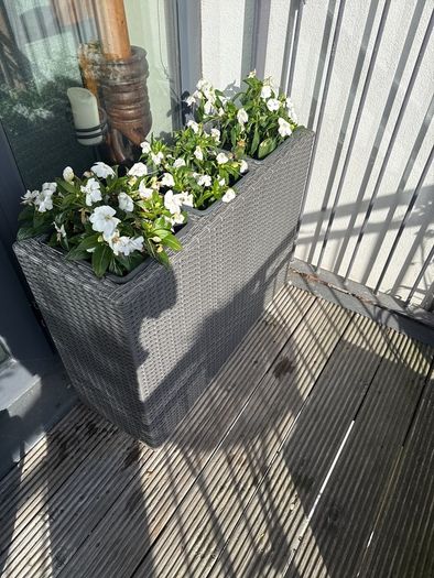 planter