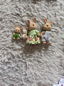sylvanian