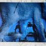 Fine Art Award Winning Wildlife Print Image 8