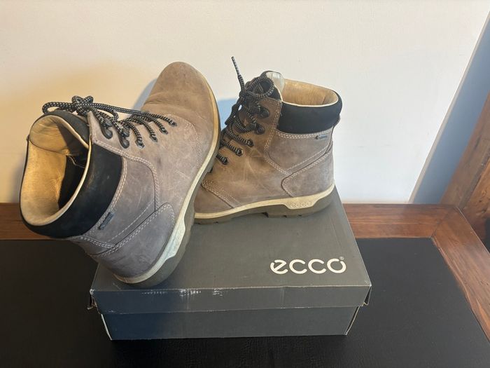 Ecco -41