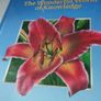 Disney set of 23 "World knowledge" children books Image 2