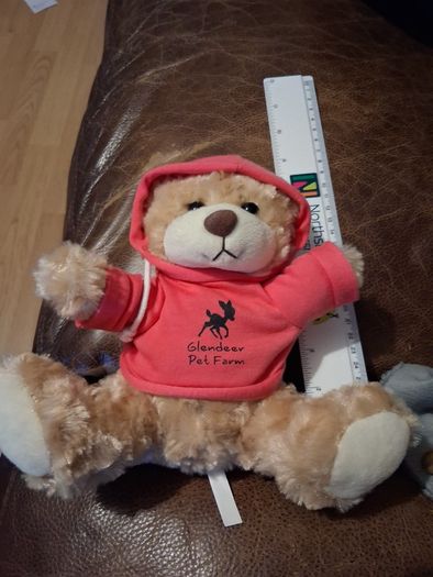 Glendeer Pet Farm teddy bear in pink hoodie