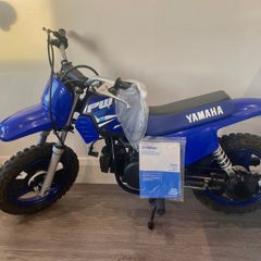 Pw 50