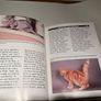 Proper Care of Cats by Christopher Burris (1991, Hardcover) Image 10