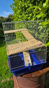Cage