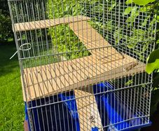 Cage