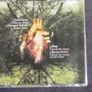 Fallen Lives - Fallen Leaves CD Image 2