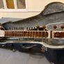 NEW Sitar + Flight Case Image 2