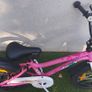 Girls Bike Chipmunk Kids 18 inch Bike - For Sale Image 4