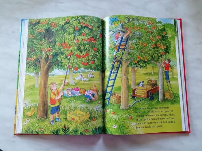 Children Book - Farmyard Stories