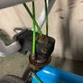 Blue & White BMX Bike (20 inch) - Fully Functional / Fixer-Upper Image 4