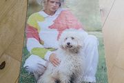 Knitting patterns from 1970s/80s - priced individually (some free!) - price includes postage