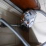 Dyson DC8 Cylinder Hoover Vacuum Cleaner -works well Image 2