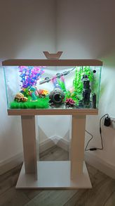 Fish tank
