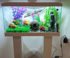Fish tank