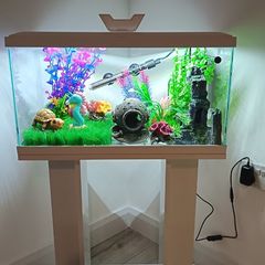 Fish tank