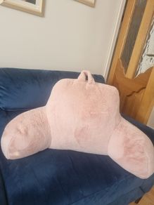 Back Support cuddle cushion