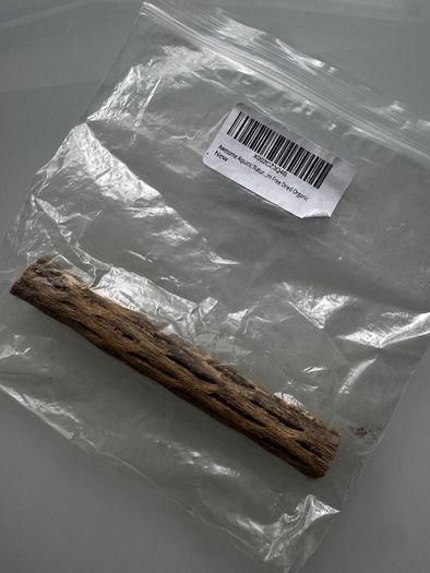 cholla wood & lotus pods for shrimps/aquarium