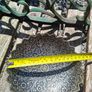 Decorative dish Image 3
