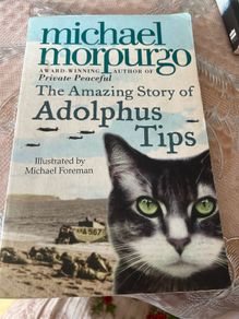 reading book