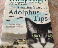 reading book