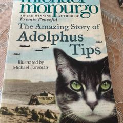 reading book