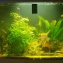 fish tank Image 3