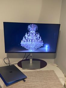Dell UltraSharp monitor 31.5 (P3223DE)
