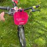 bike for girl Image 6