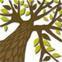 All About Trees Jobs in Ireland