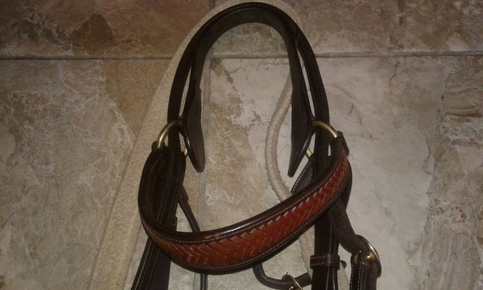 Bridle /bitless