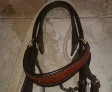 Bridle /bitless