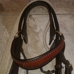Bridle /bitless