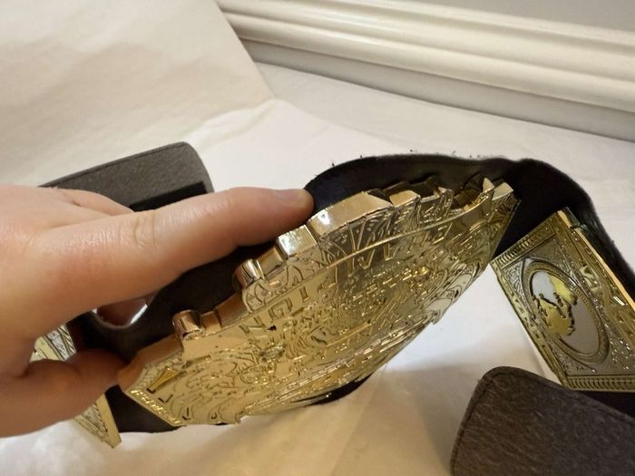 wwe Jakks specific TNA World heavyweight championship kids belt
