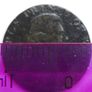 Middlesex National Series Prince of Wales 1795 Halfpenny token Image 6