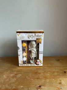 Hermione Model Paint Set