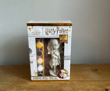 Hermione Model Paint Set
