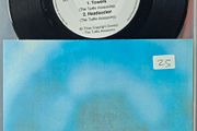 The Turtle Assassins from Derry