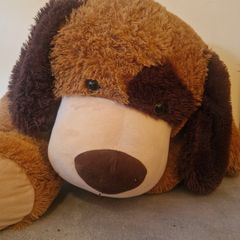 Large Dog Teddy