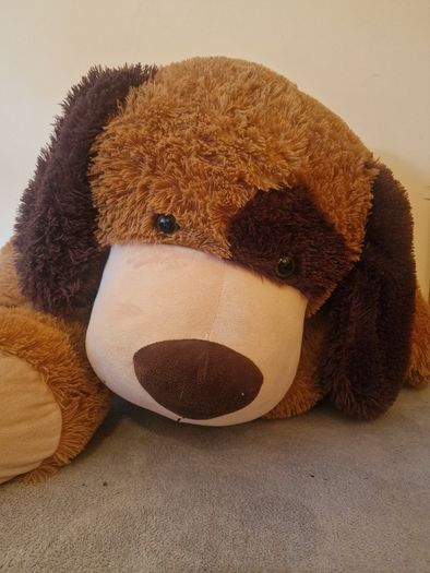 Large Dog Teddy