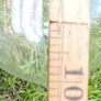 Vintage Handmade Clear Circular Glass Display Cloche Bell Dome With Black Base (dimensions visible in the photos) 50 each Image 9